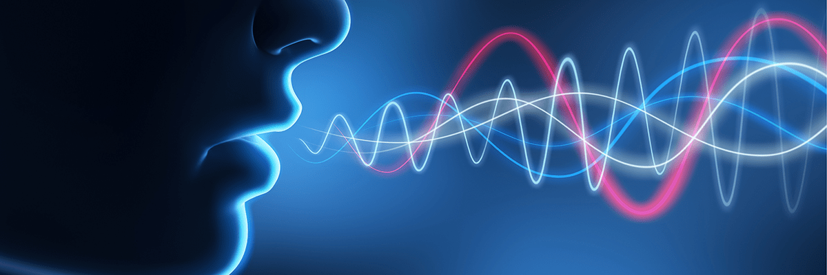 voice