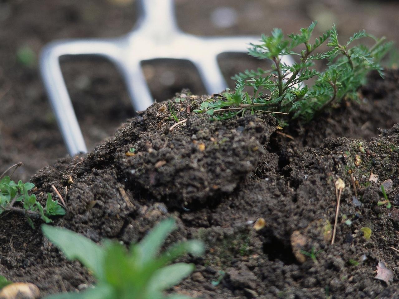 5C48D073-B9AD-41E6-B614-E6C3E4C488A4